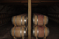 DSC02192-7.JPG
